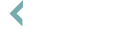 recyber logo_female2